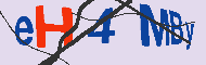 Ungültiger Sicherheitscode